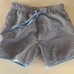 Minnow swim trunks